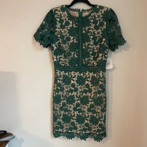 Alter’d State Green Lace Mid Length Dress